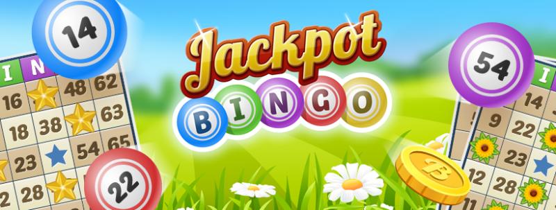 Jackpot Bingo là game cá cược gì?